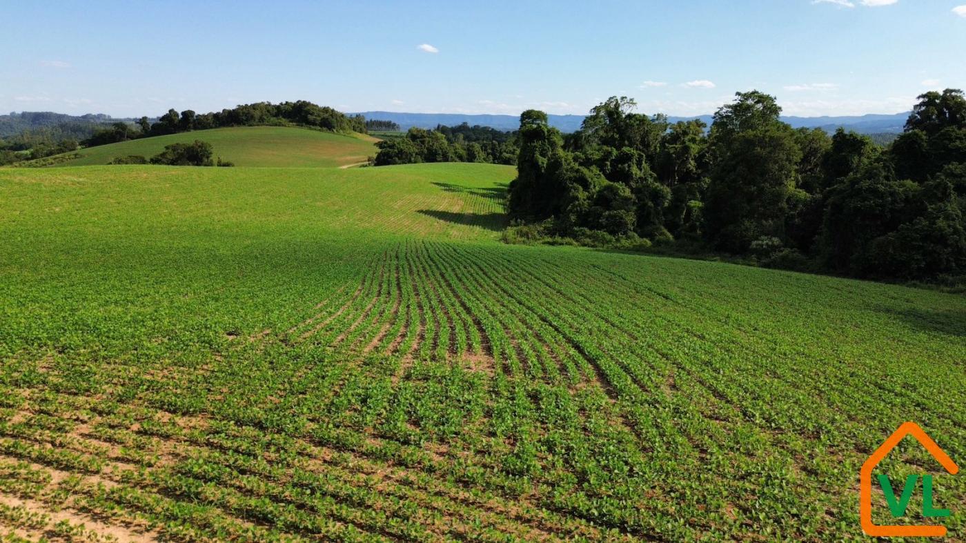 Chácara, 32 hectares - Foto 4