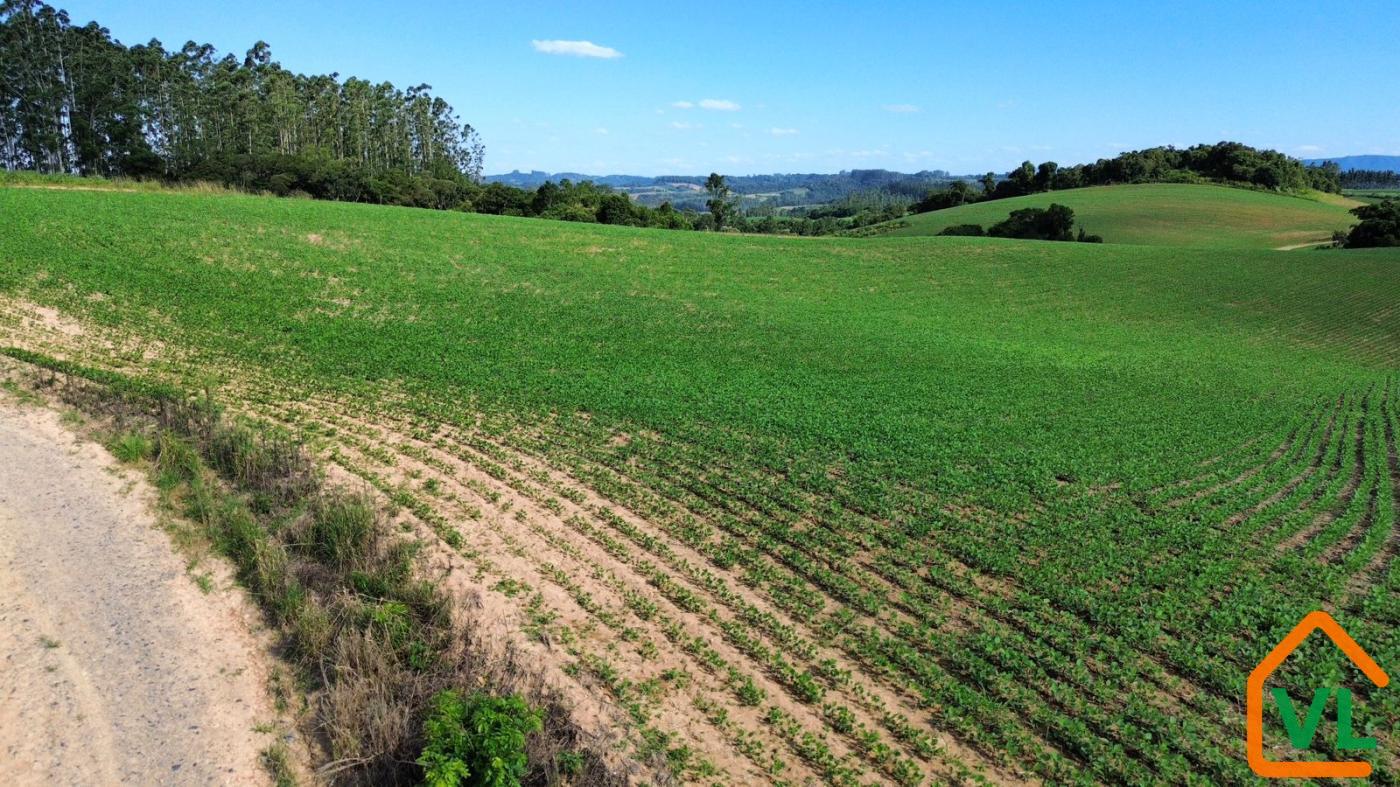 Chácara, 32 hectares - Foto 7