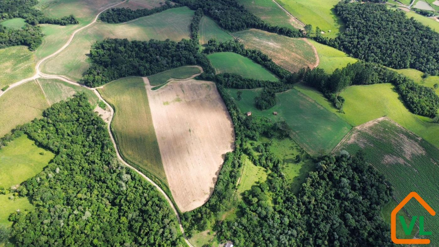 Chácara, 32 hectares - Foto 3
