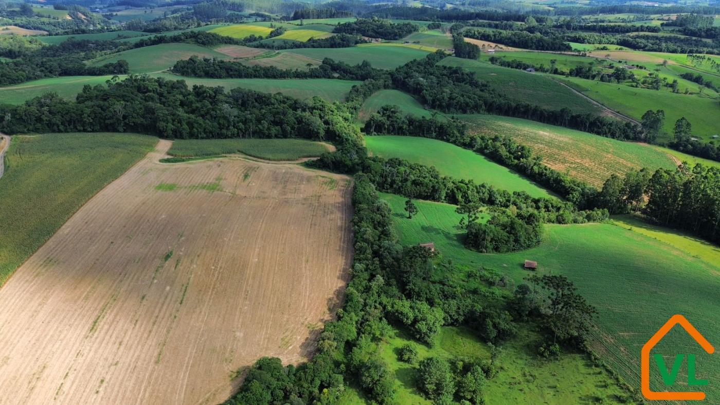 Chácara, 32 hectares - Foto 10
