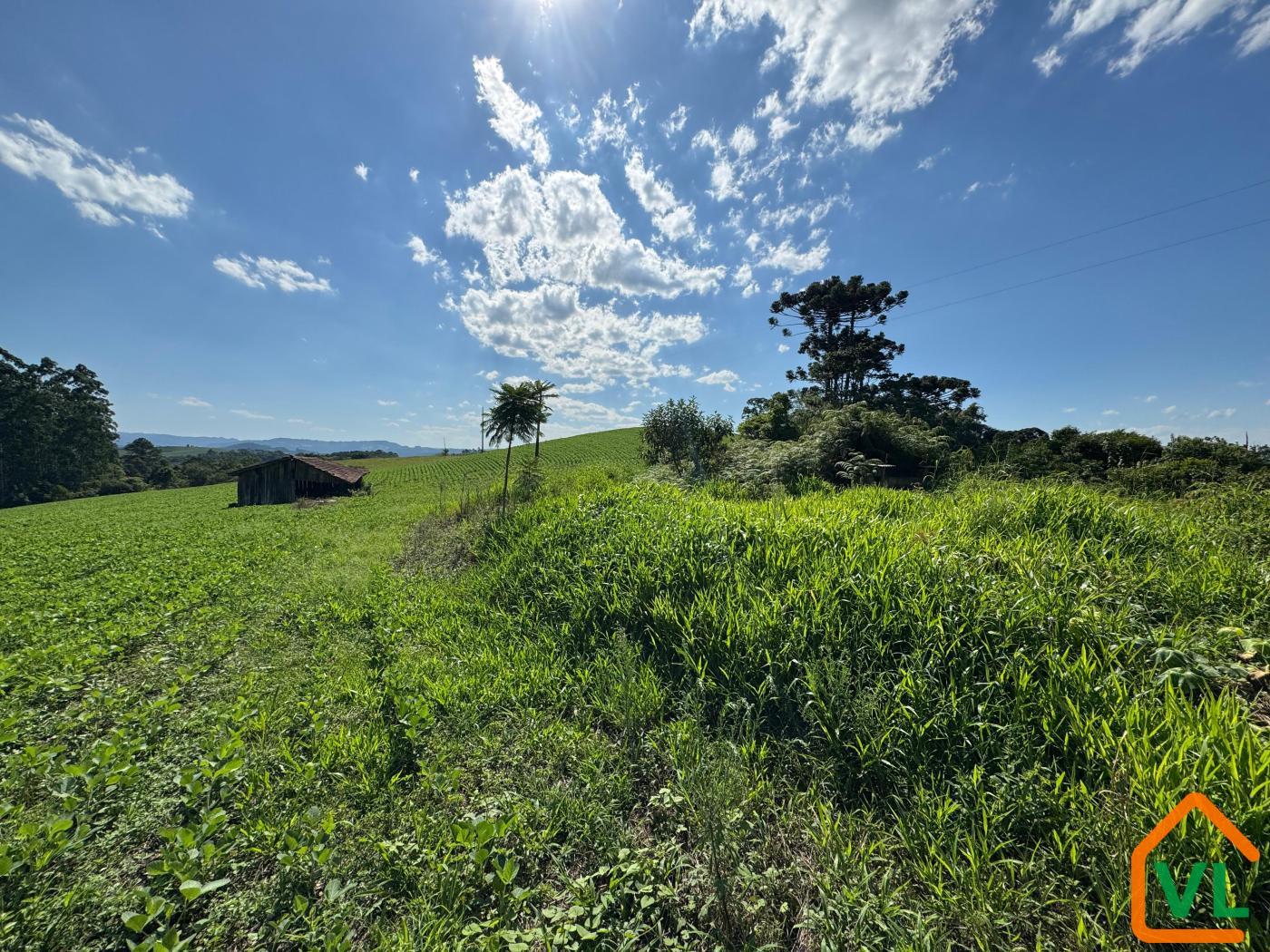 Chácara, 32 hectares - Foto 11
