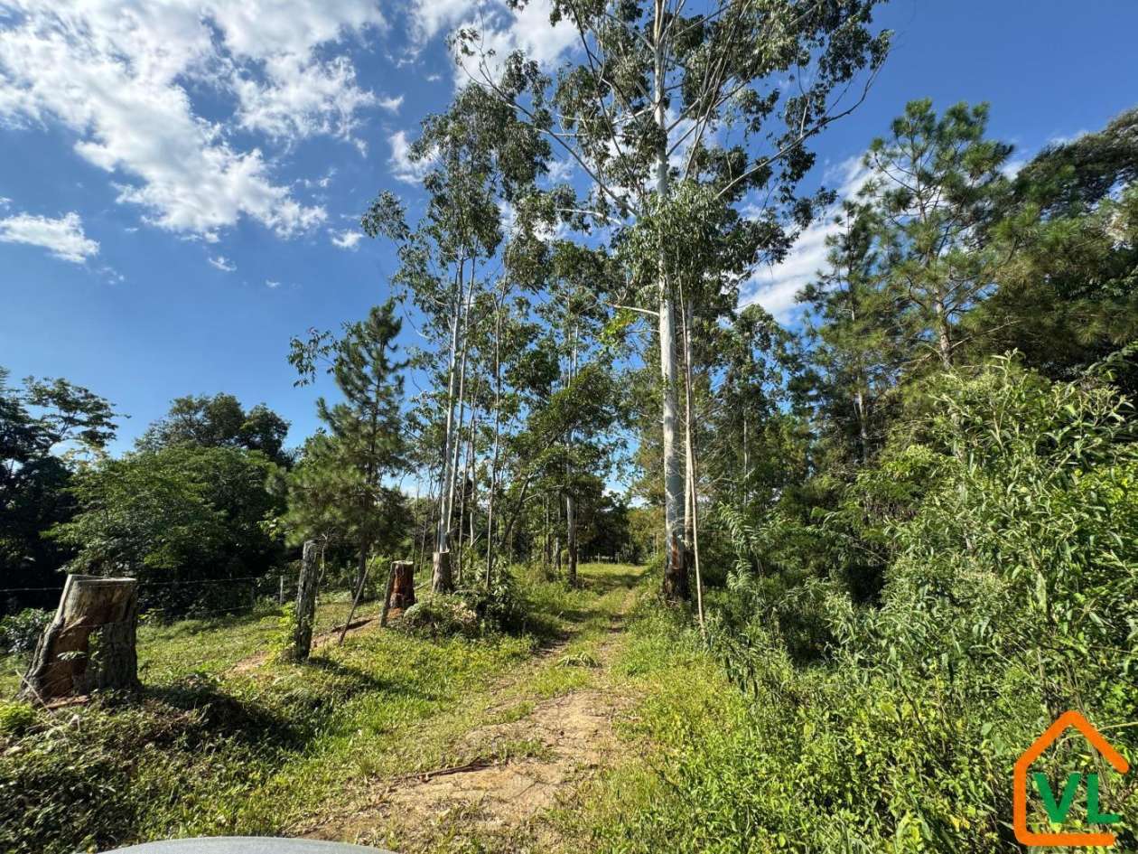 Chácara, 32 hectares - Foto 12