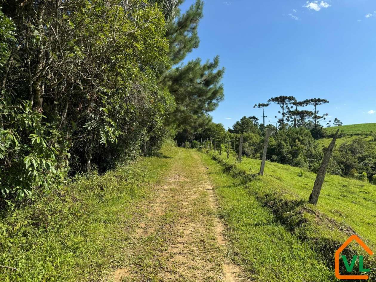 Chácara, 32 hectares - Foto 13