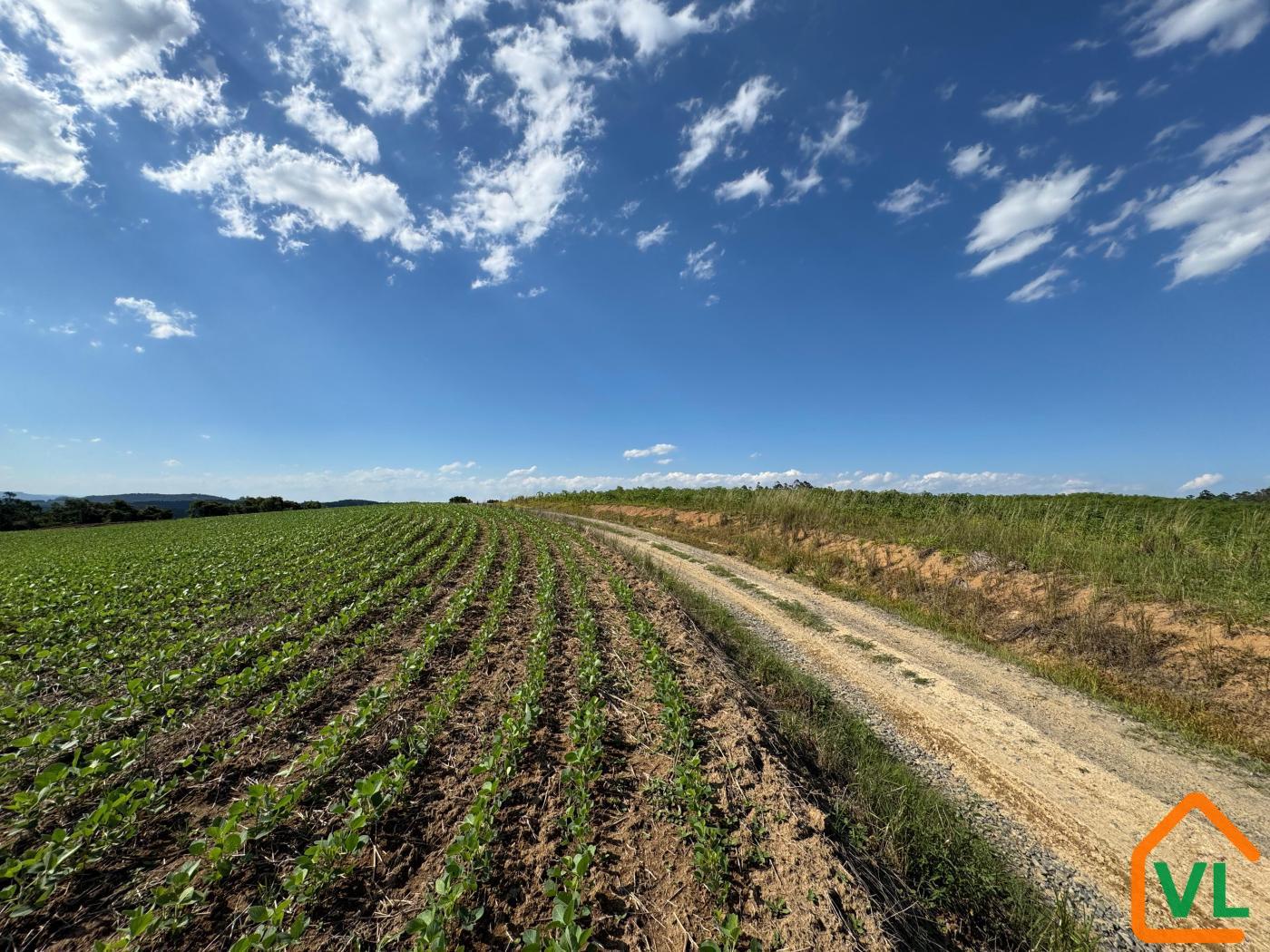 Chácara, 32 hectares - Foto 14