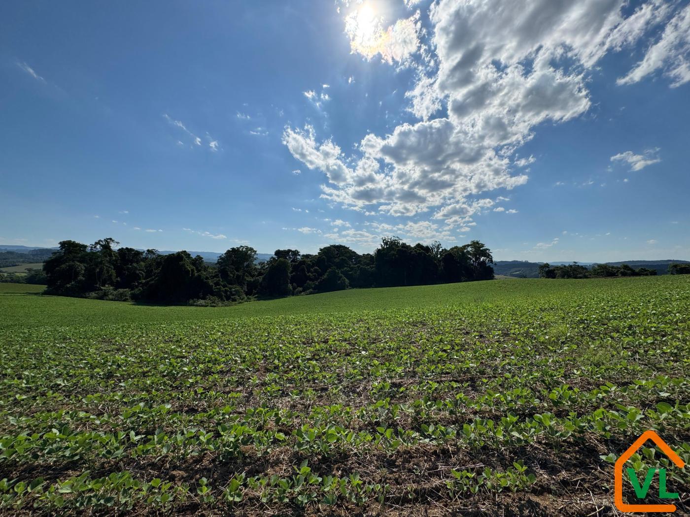 Chácara, 32 hectares - Foto 15