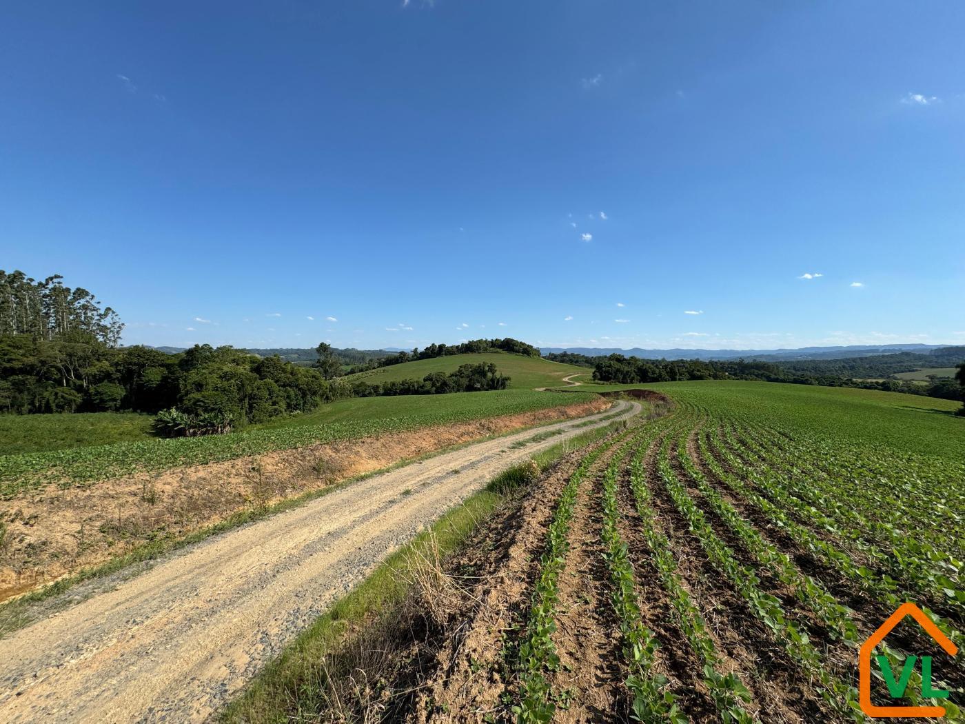 Chácara, 32 hectares - Foto 16