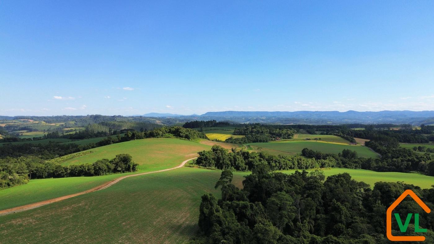 Chácara, 32 hectares - Foto 2