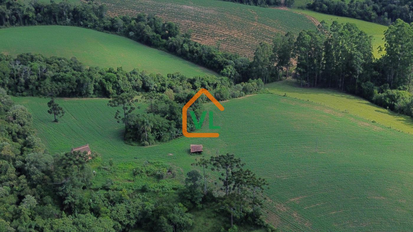 Chácara, 32 hectares - Foto 1