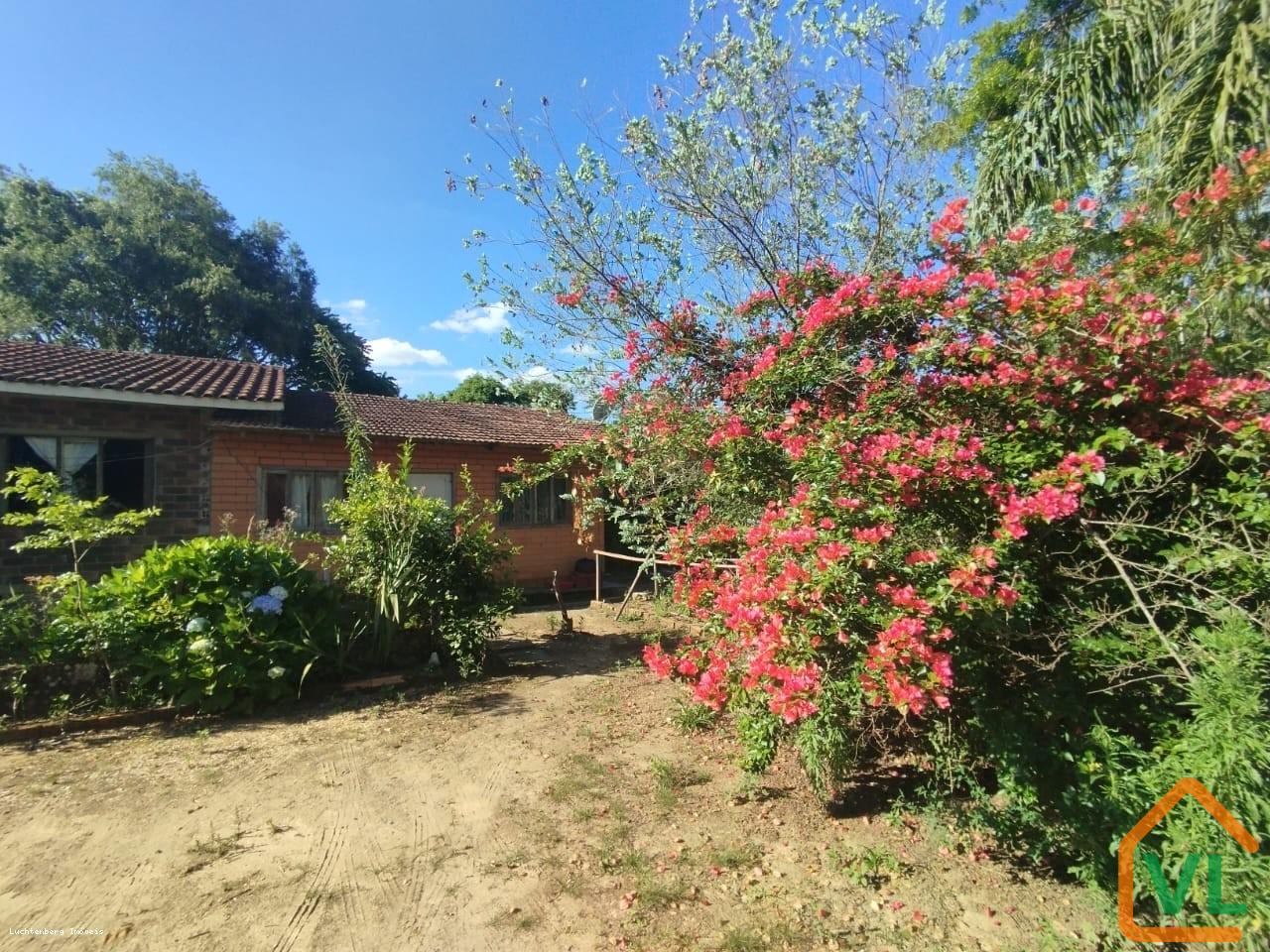 Sítio, 4 quartos, 13 hectares - Foto 11