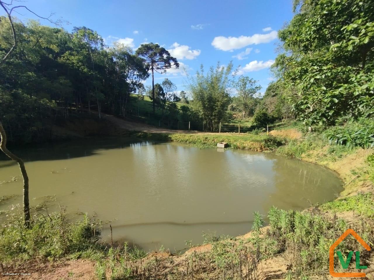 Sítio, 4 quartos, 13 hectares - Foto 24