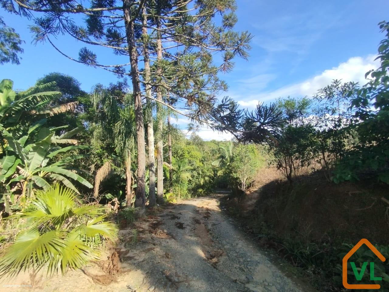 Sítio, 4 quartos, 13 hectares - Foto 26