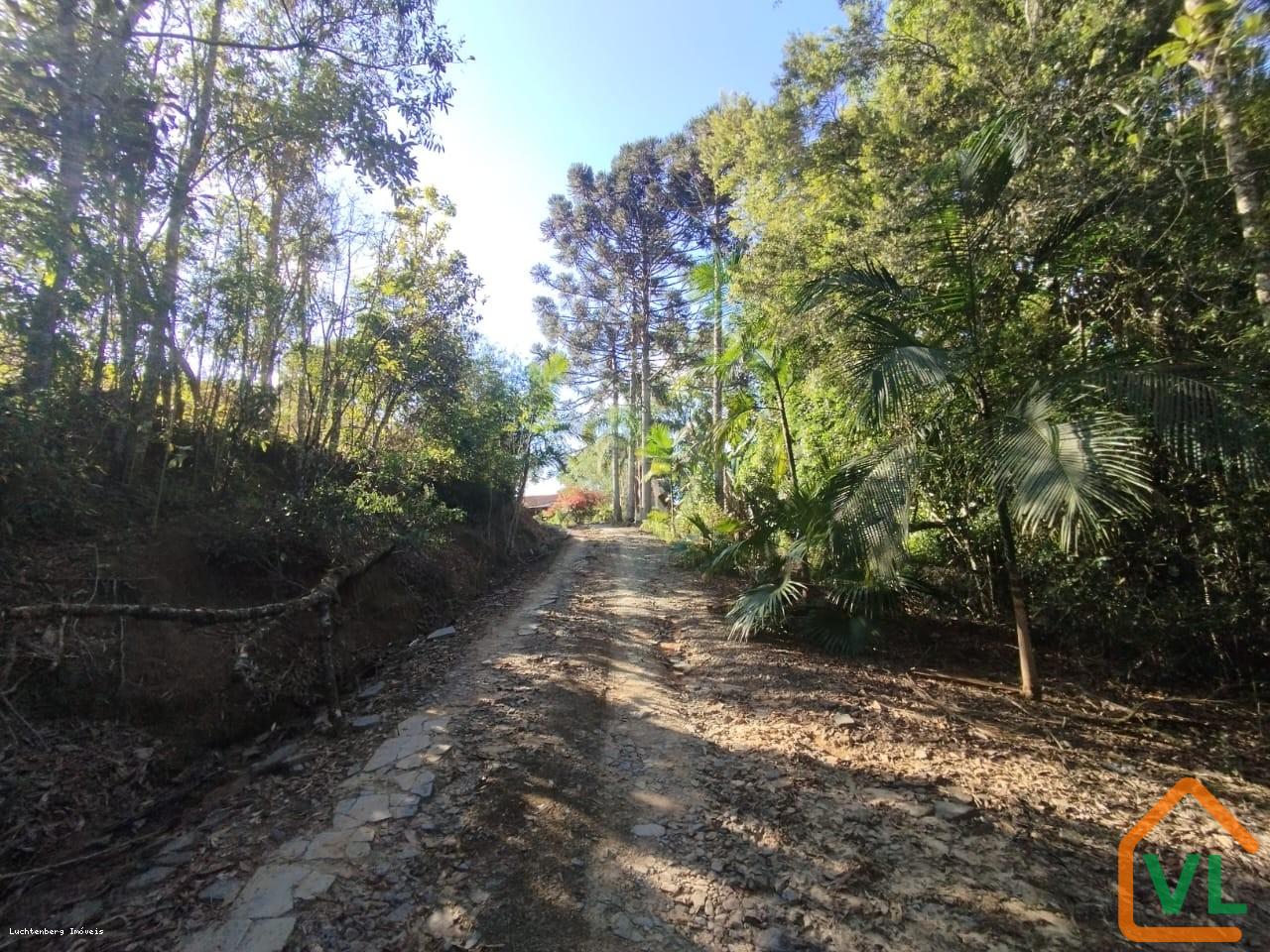 Sítio, 4 quartos, 13 hectares - Foto 27