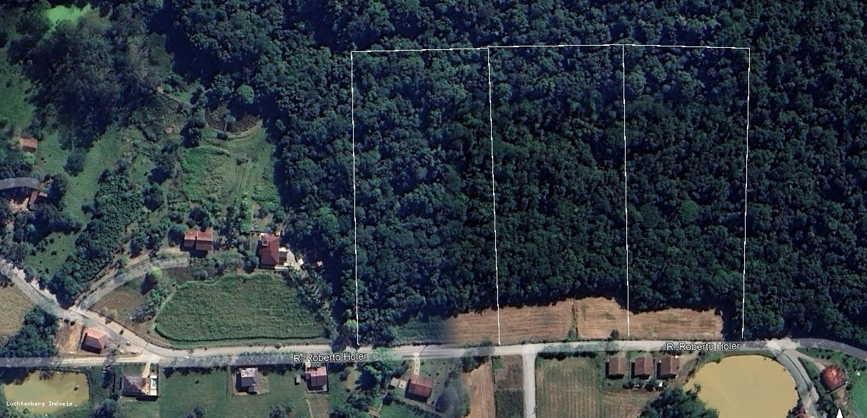 Sítio, 2 hectares - Foto 1