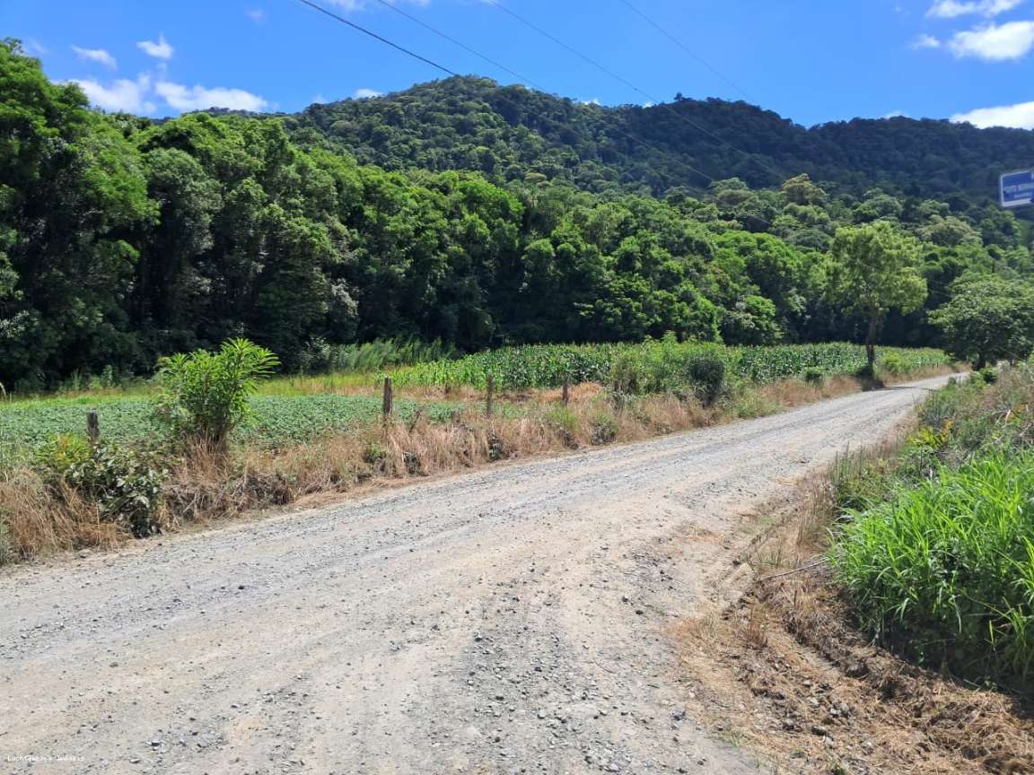 Sítio, 2 hectares - Foto 3