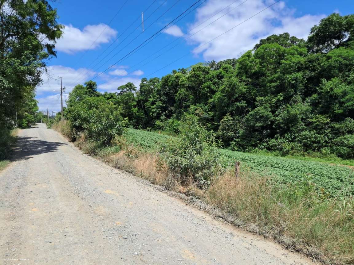 Sítio, 2 hectares - Foto 7