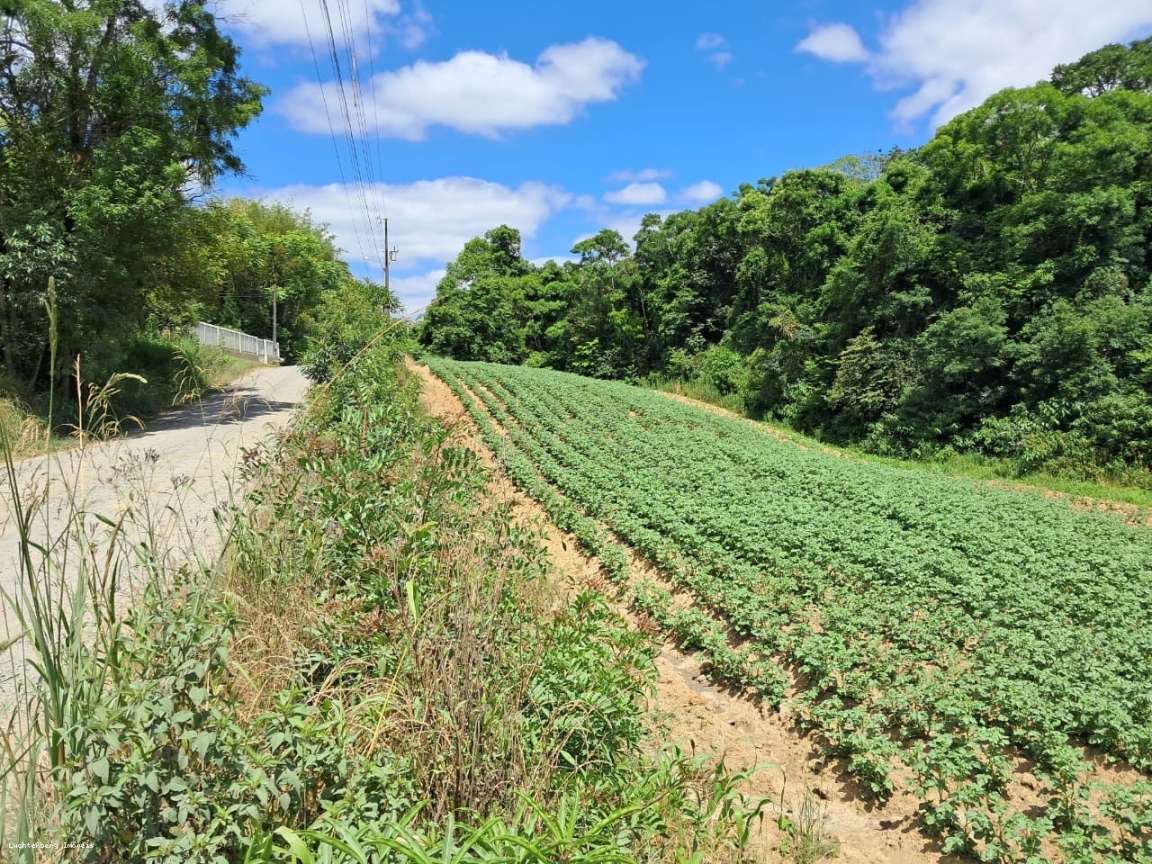 Sítio, 2 hectares - Foto 5