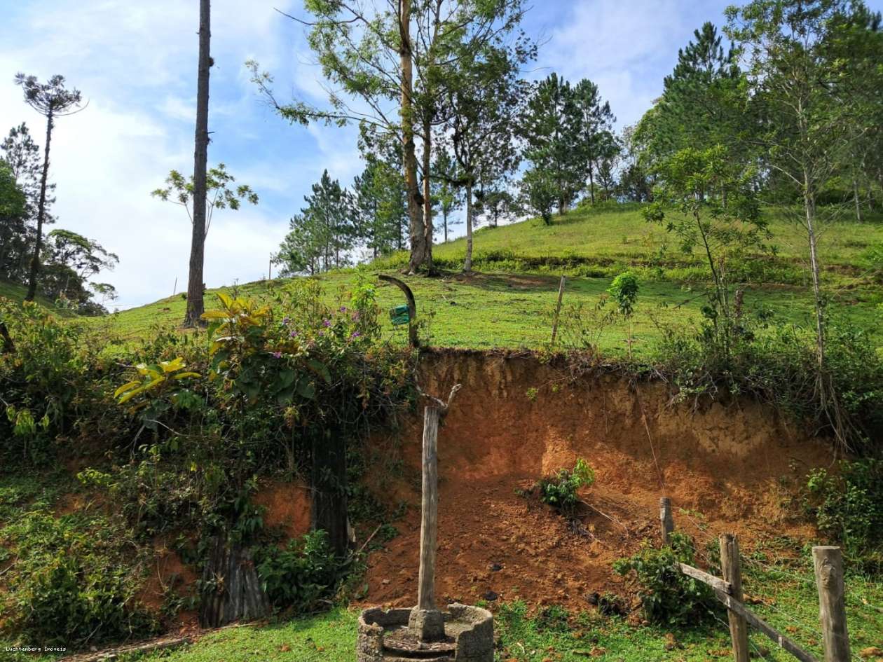 Chácara, 3 hectares - Foto 2