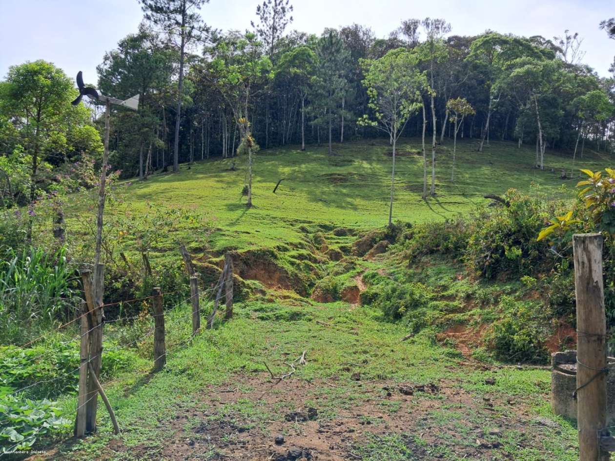 Chácara, 3 hectares - Foto 3