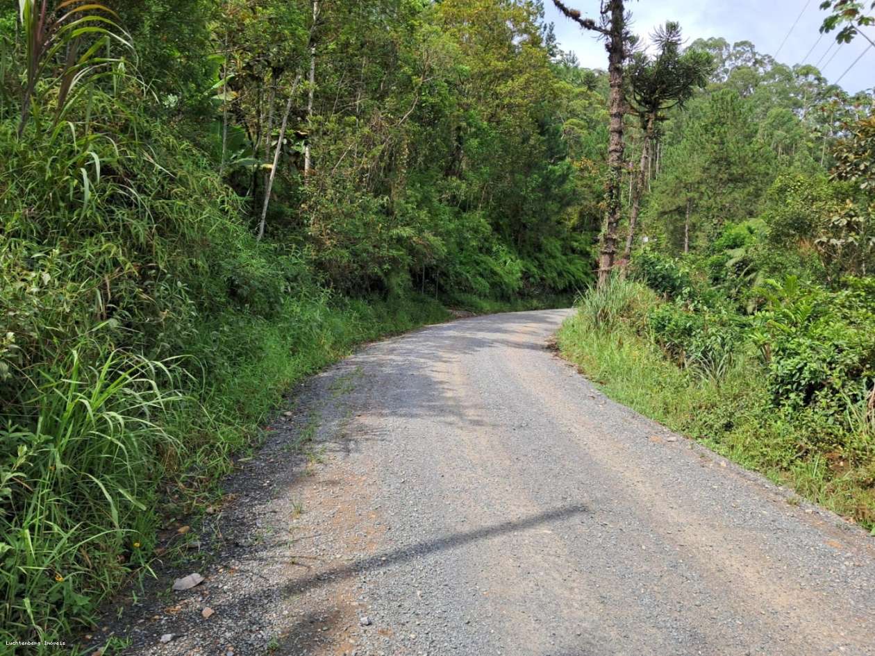 Chácara, 3 hectares - Foto 5