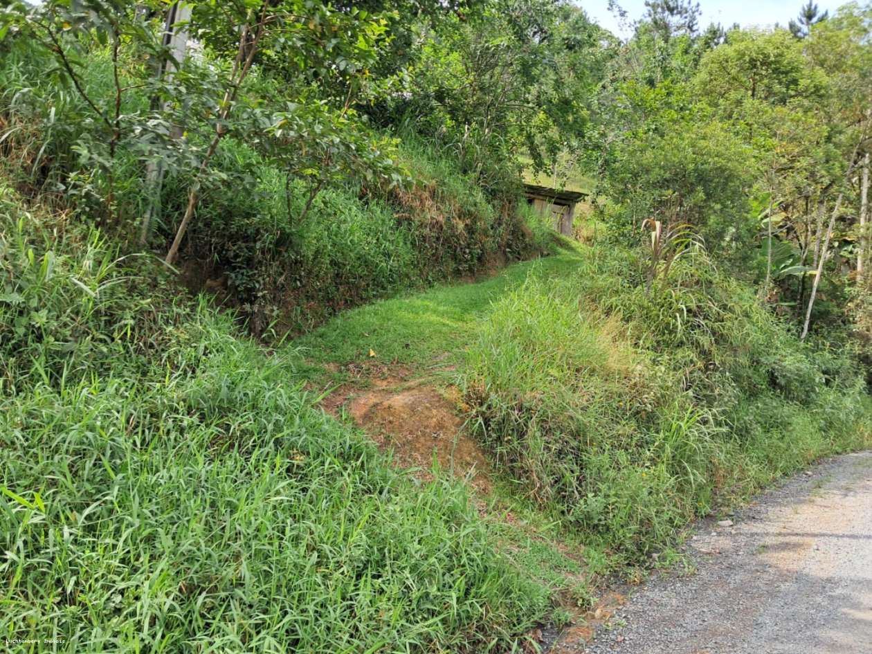 Chácara, 3 hectares - Foto 7