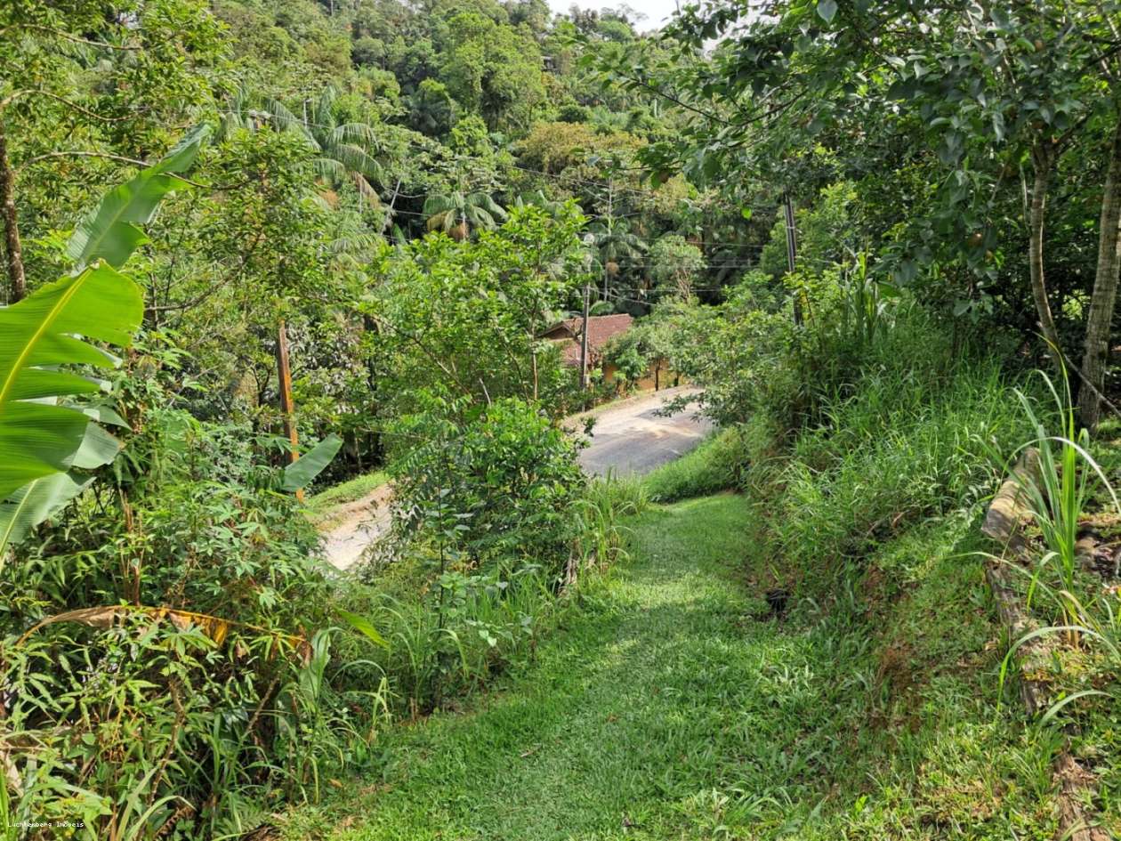 Chácara, 3 hectares - Foto 6