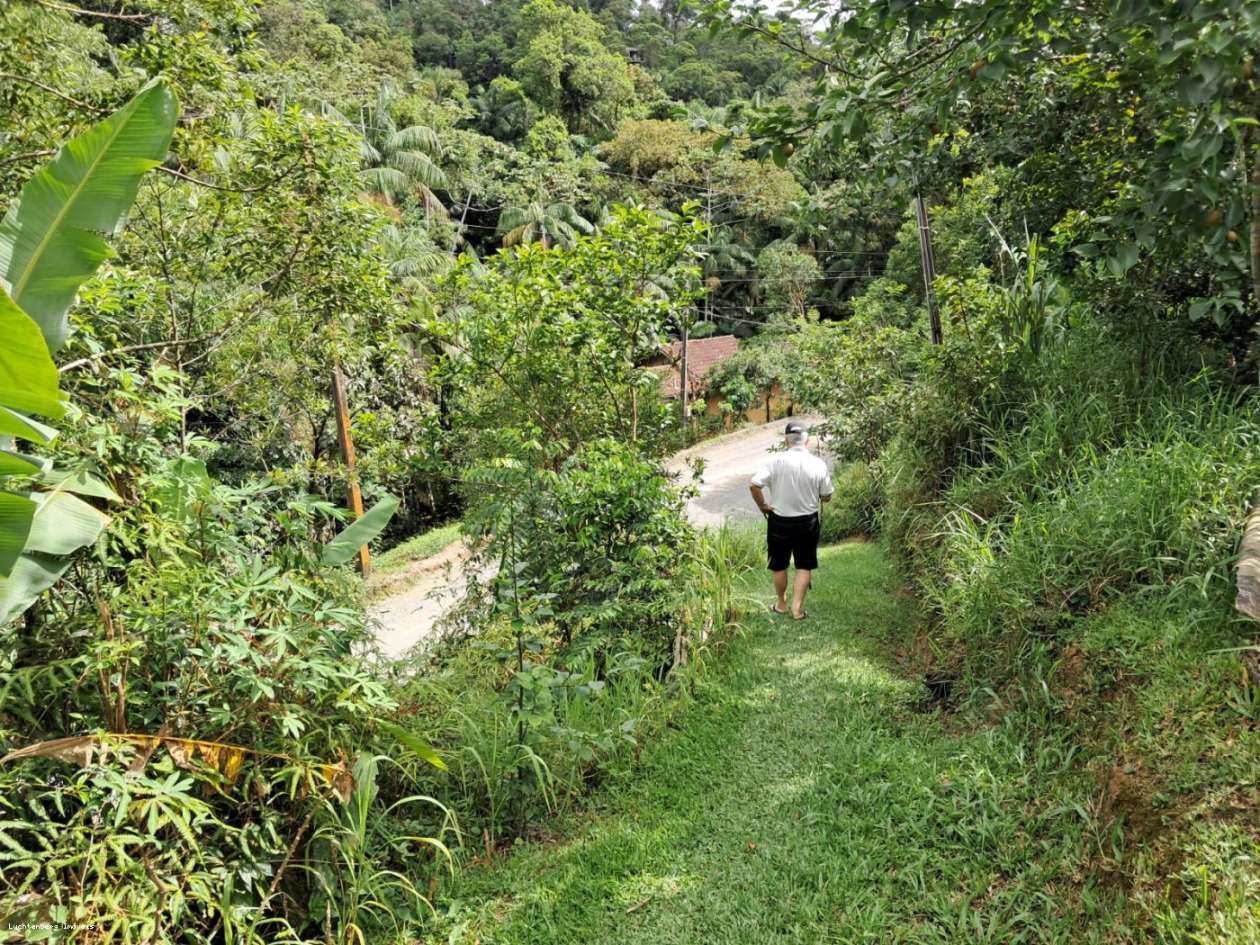 Chácara, 3 hectares - Foto 8