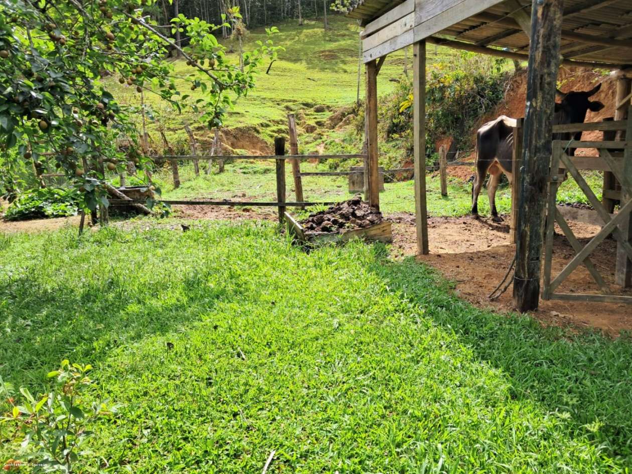 Chácara, 3 hectares - Foto 9