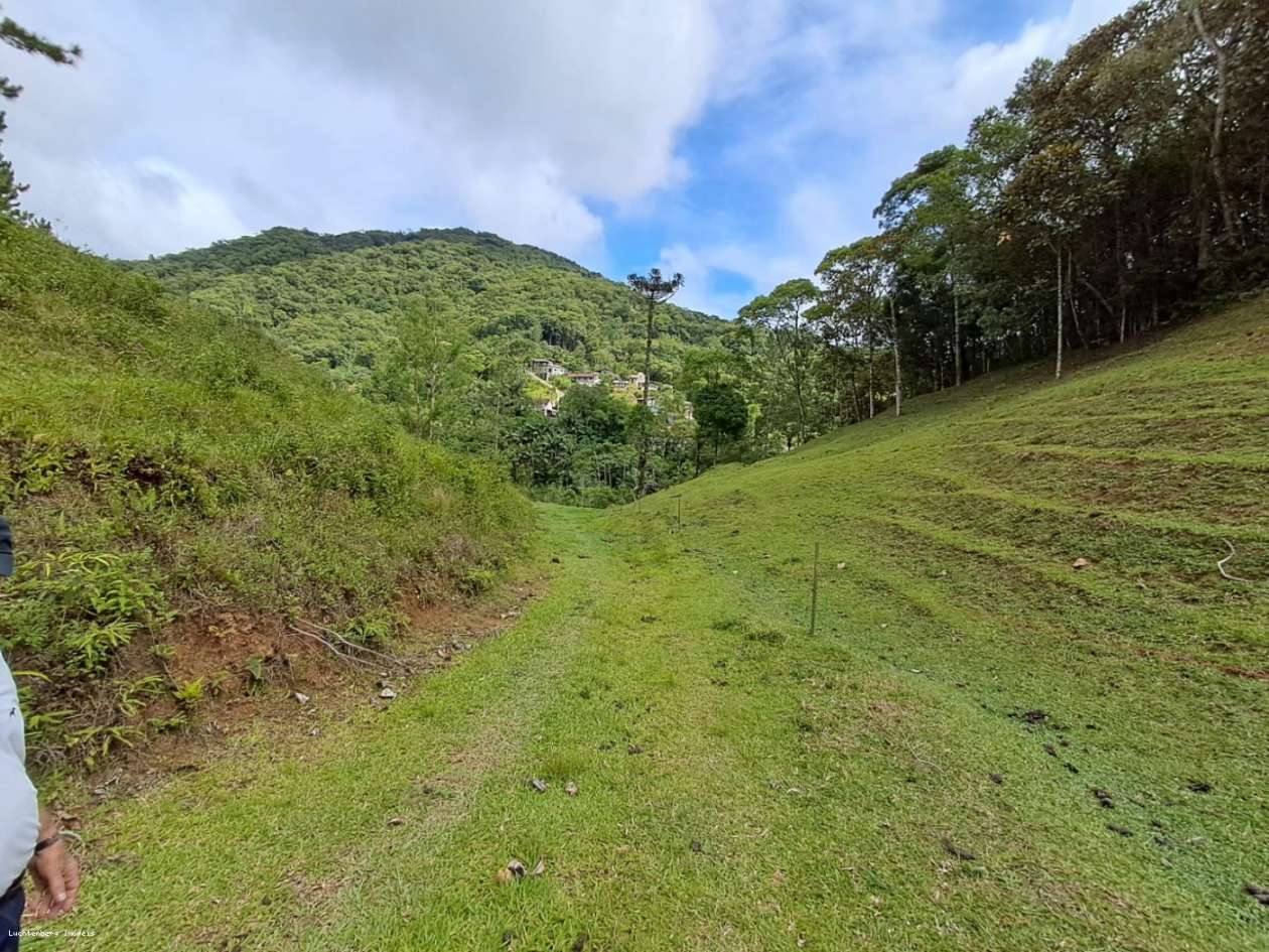 Chácara, 3 hectares - Foto 12