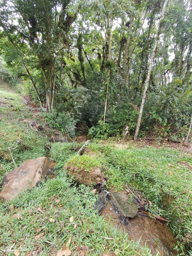 Chácara, 3 hectares - Foto 14