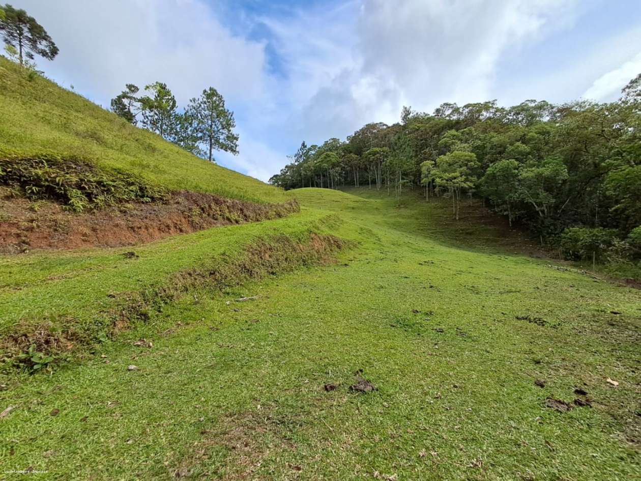 Chácara, 3 hectares - Foto 13