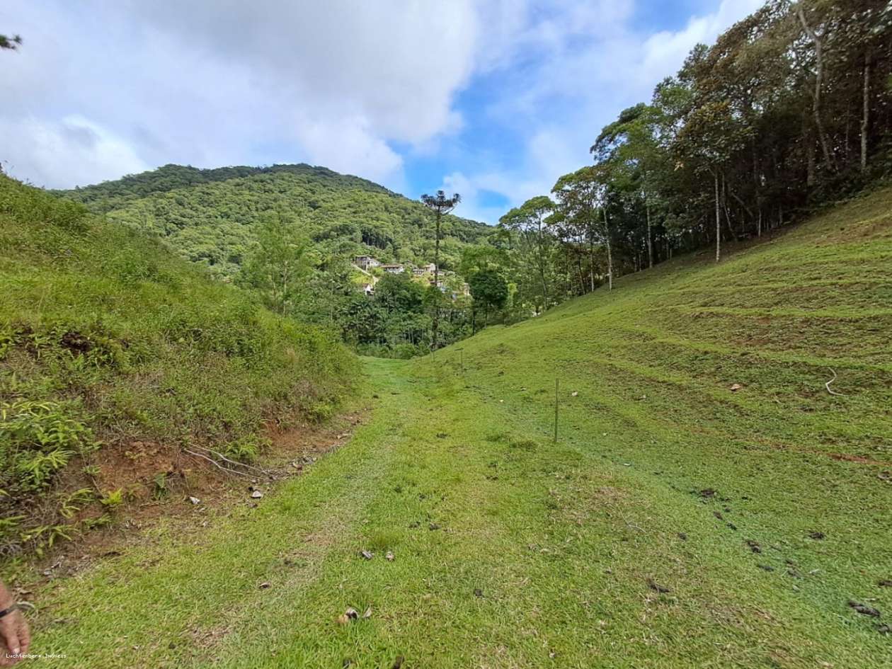 Chácara, 3 hectares - Foto 15