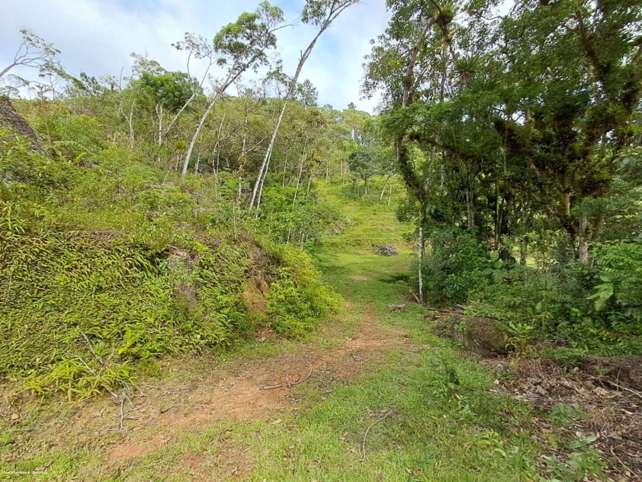 Chácara, 3 hectares - Foto 16