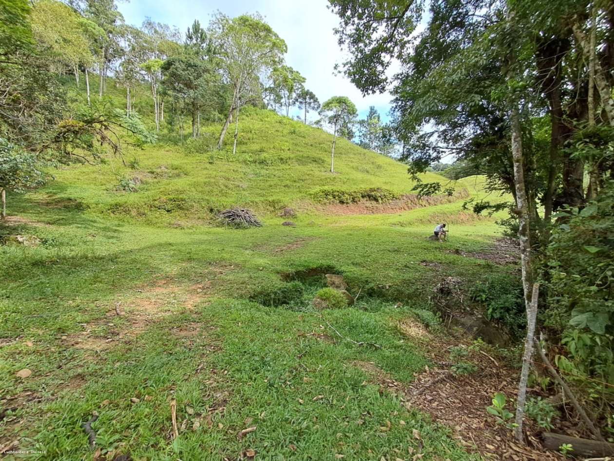 Chácara, 3 hectares - Foto 18