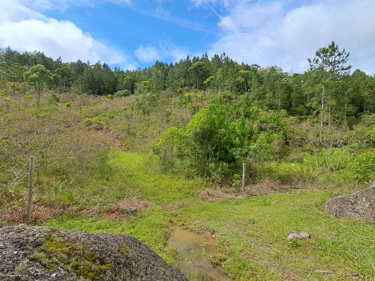 Chácara, 3 hectares - Foto 19