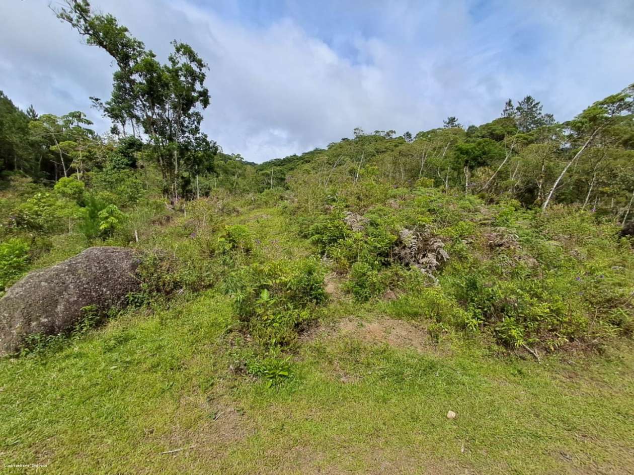 Chácara, 3 hectares - Foto 22