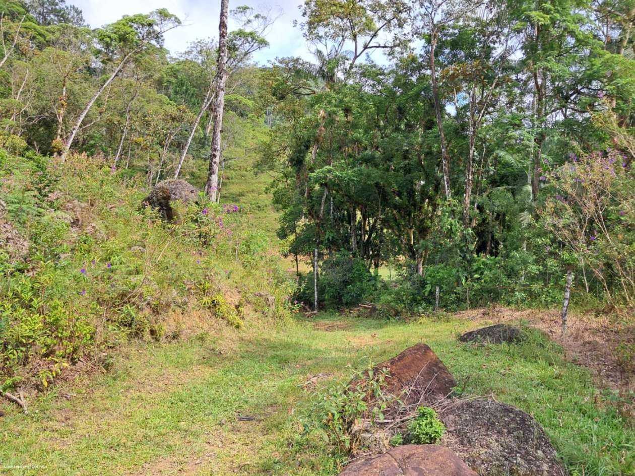 Chácara, 3 hectares - Foto 23