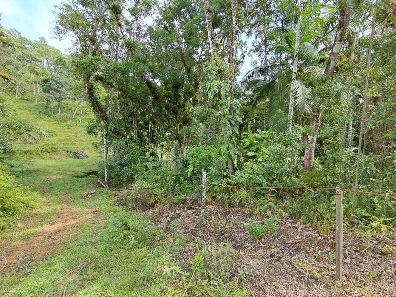 Chácara, 3 hectares - Foto 24