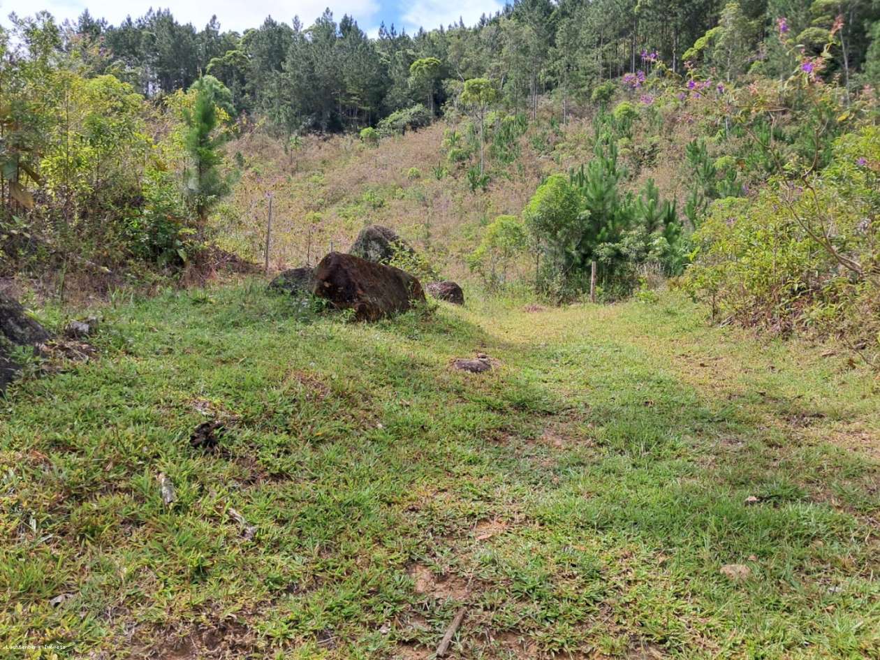 Chácara, 3 hectares - Foto 26