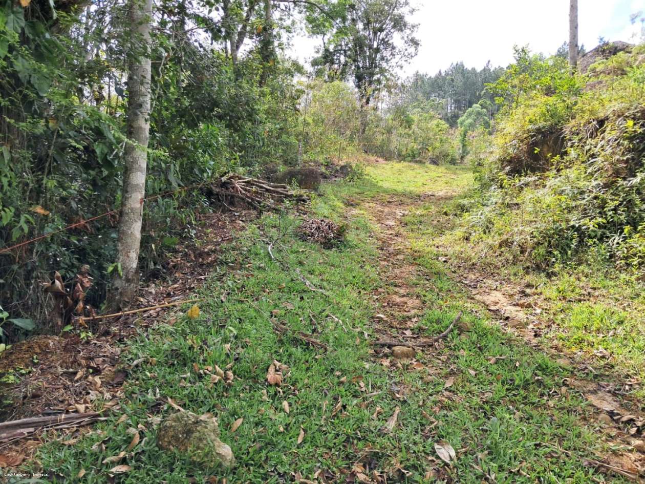 Chácara, 3 hectares - Foto 28