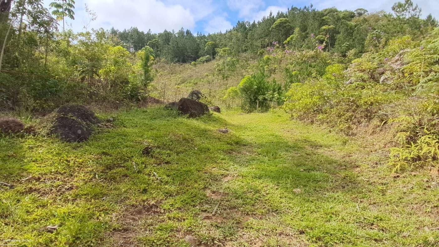 Chácara, 3 hectares - Foto 27