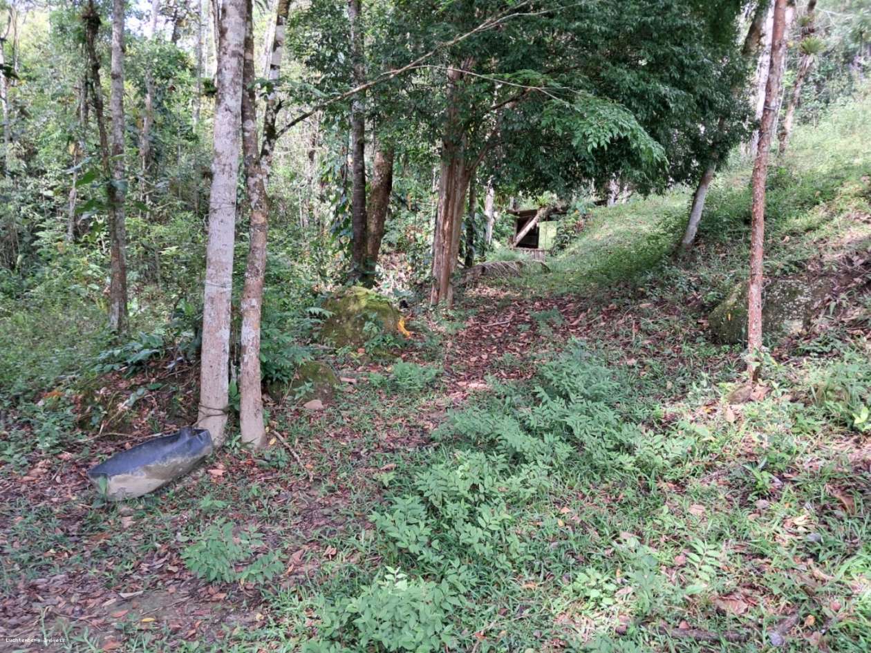 Chácara, 3 hectares - Foto 30