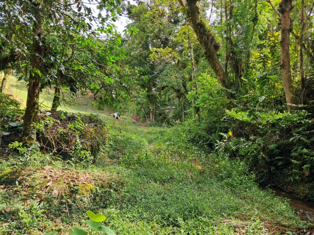 Chácara, 3 hectares - Foto 32