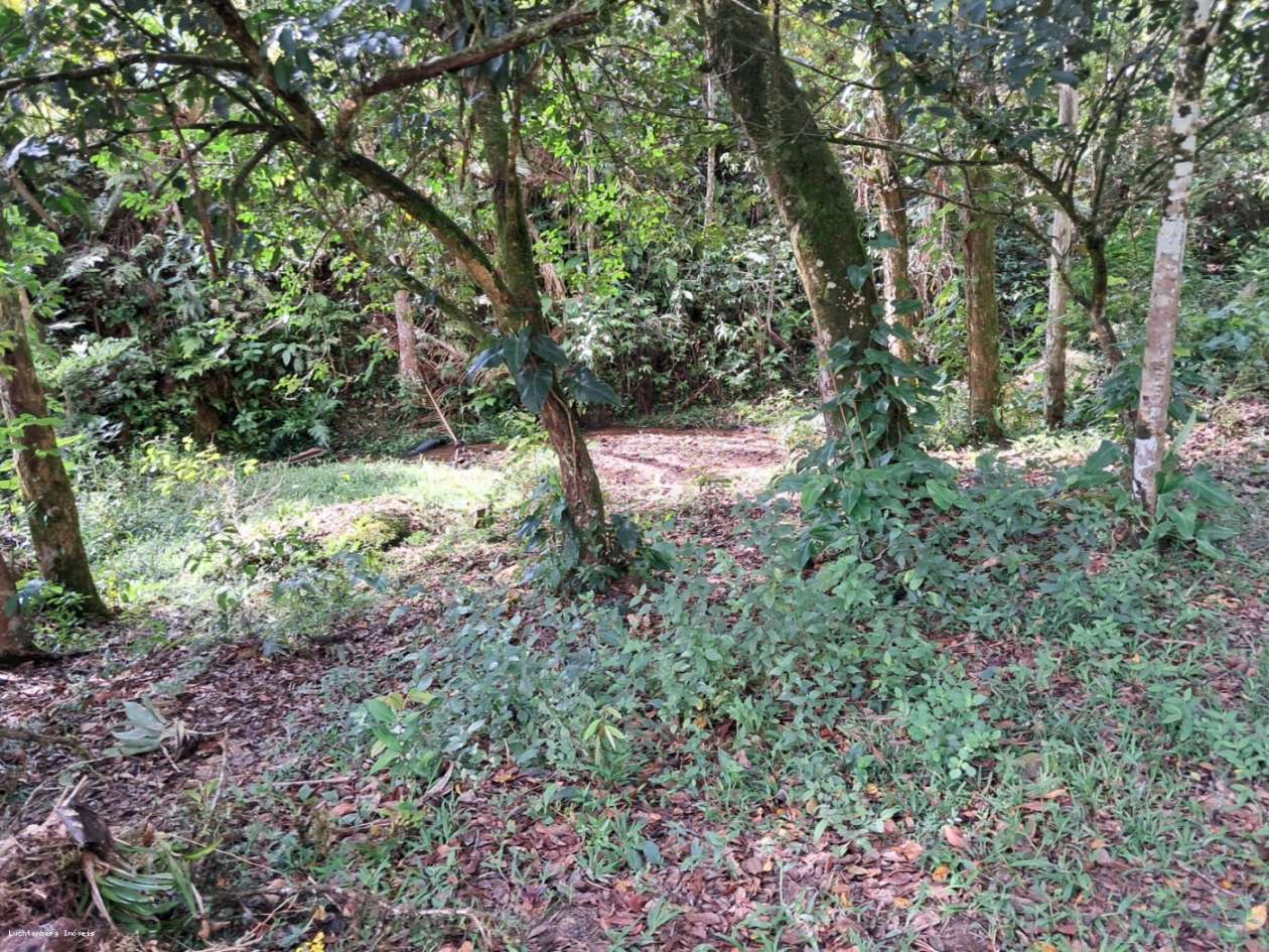 Chácara, 3 hectares - Foto 33