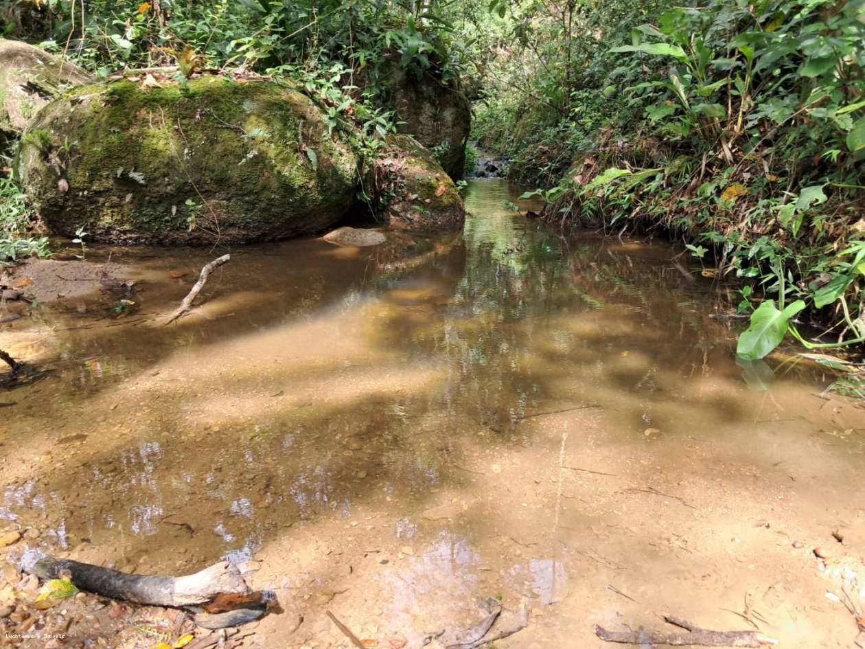 Chácara, 3 hectares - Foto 34