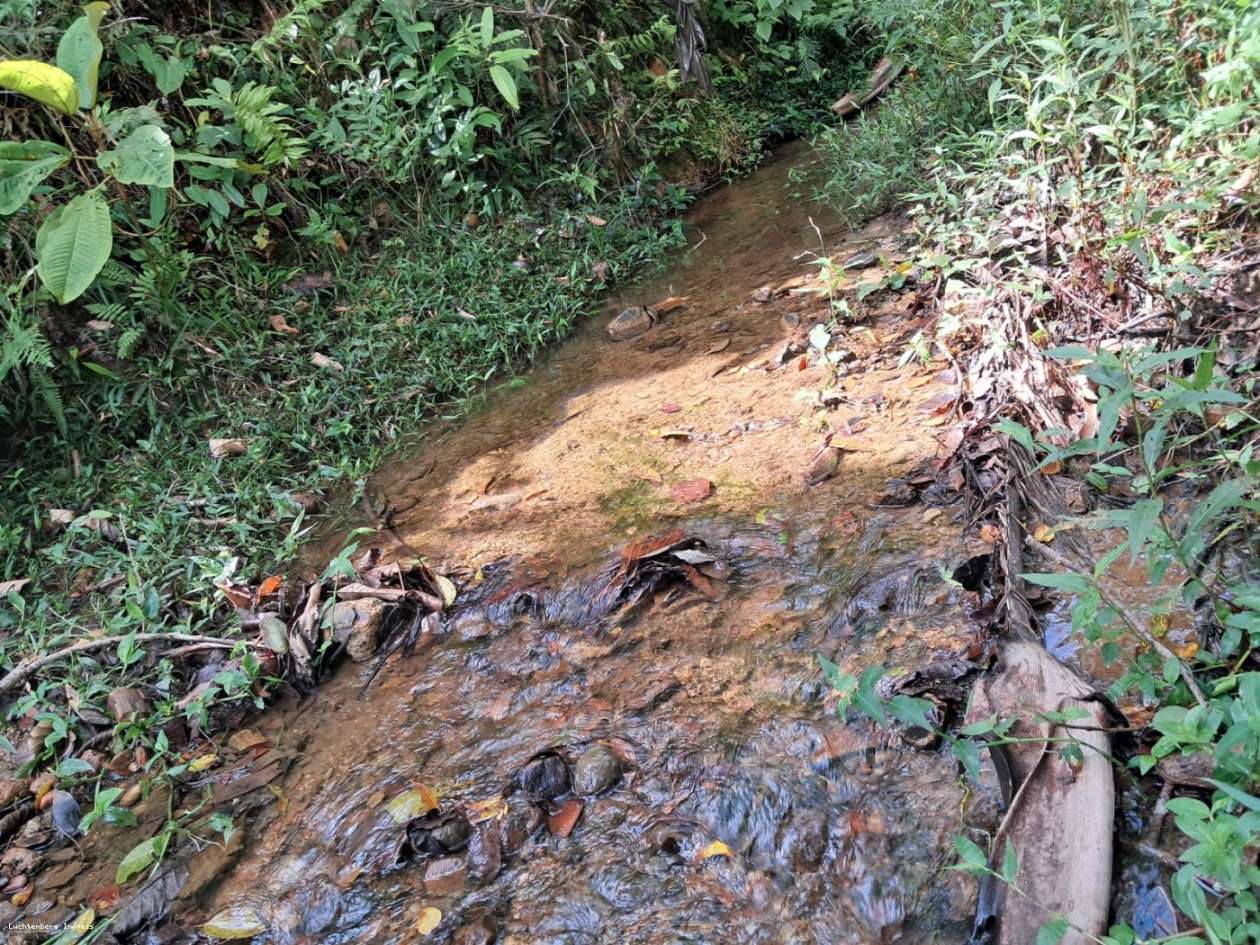 Chácara, 3 hectares - Foto 35