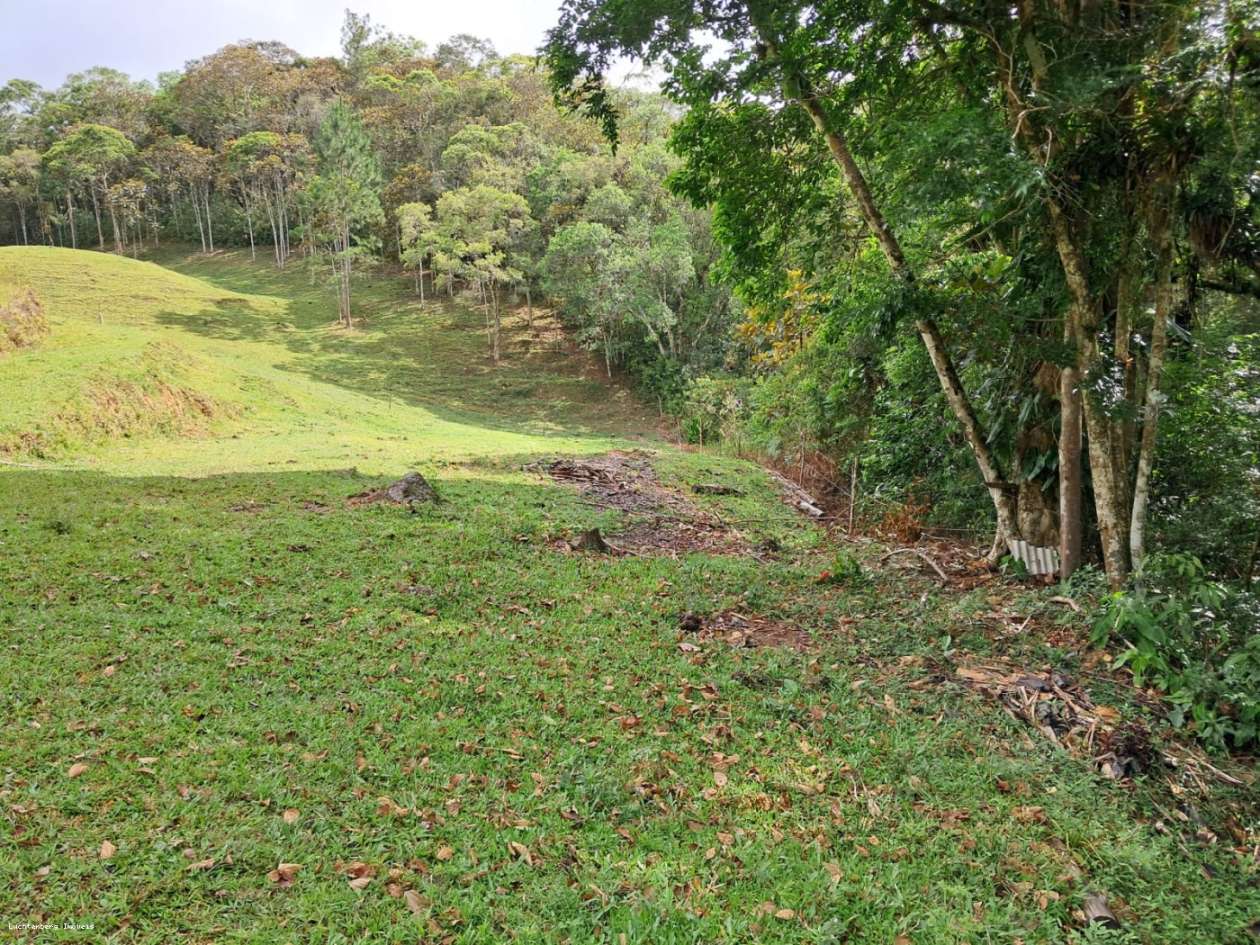 Chácara, 3 hectares - Foto 37