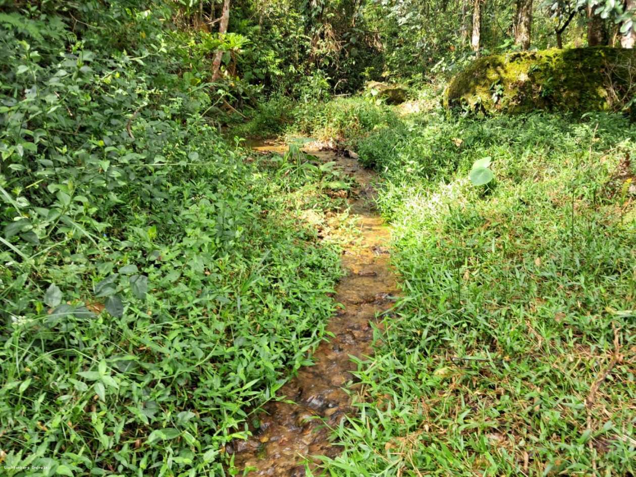 Chácara, 3 hectares - Foto 36