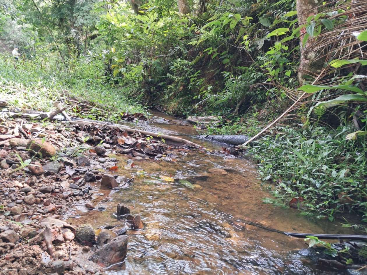 Chácara, 3 hectares - Foto 38