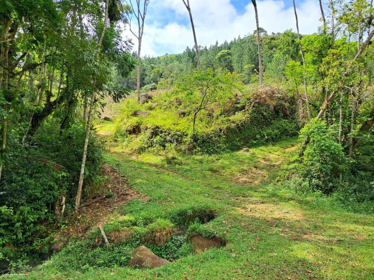 Chácara, 3 hectares - Foto 39