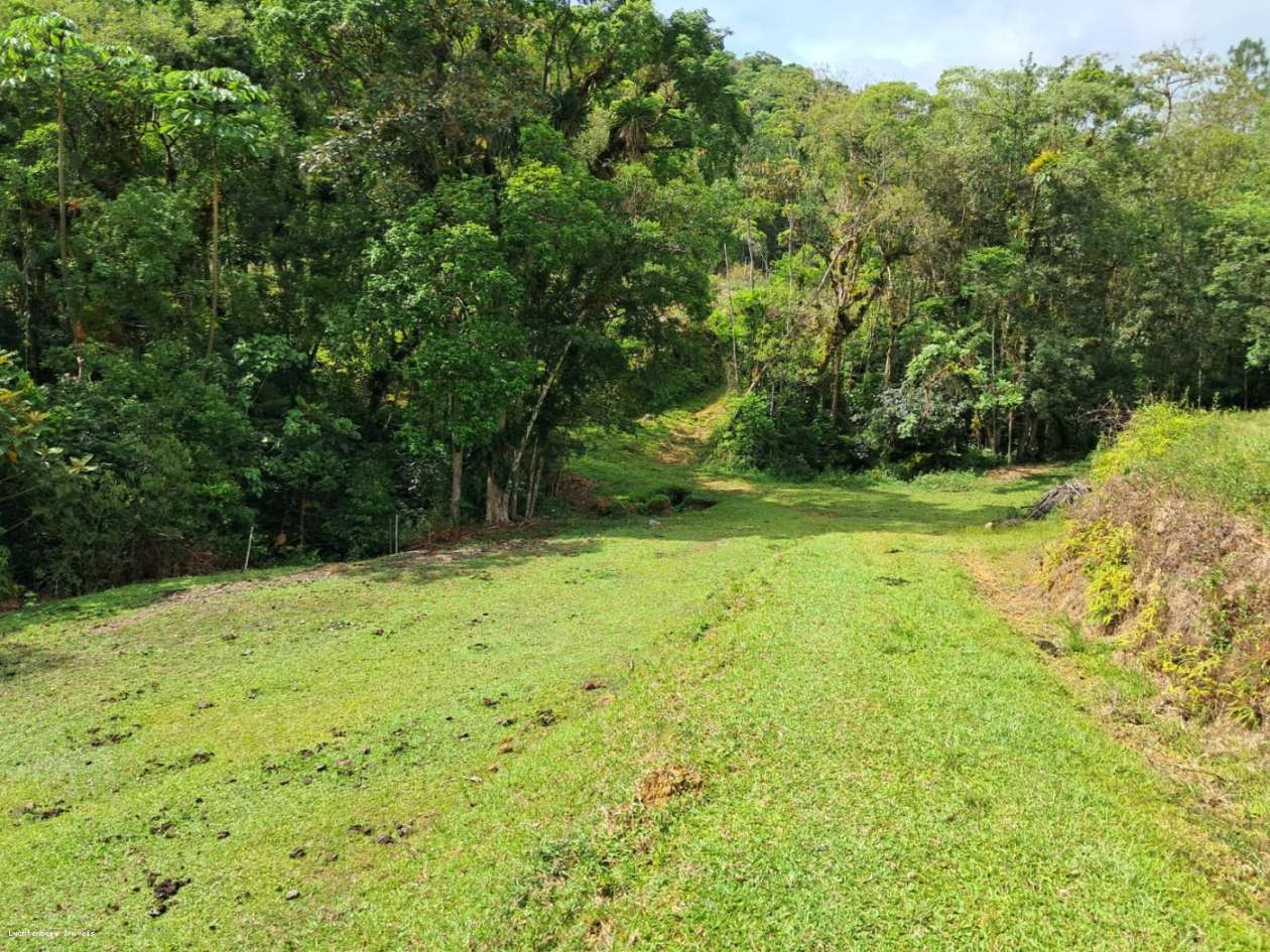 Chácara, 3 hectares - Foto 40